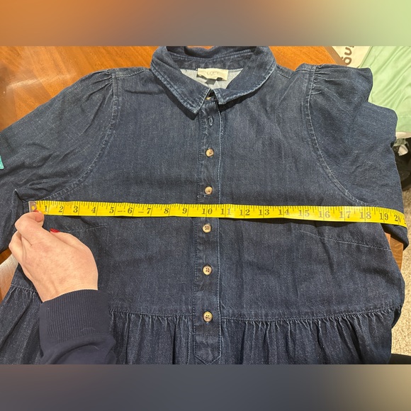 Loft Outlet Denim Baby Doll Long-Sleeve Dress, Size 10 - Picture 5 of 6